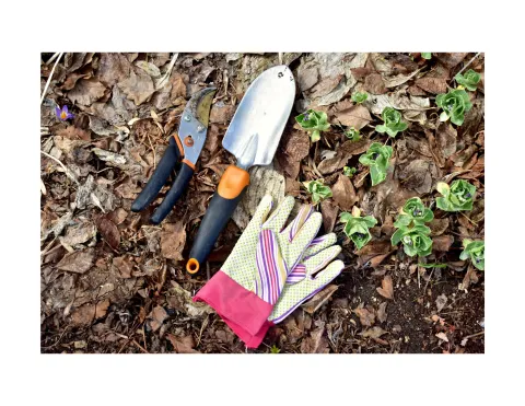 Gardening gloves and tools.