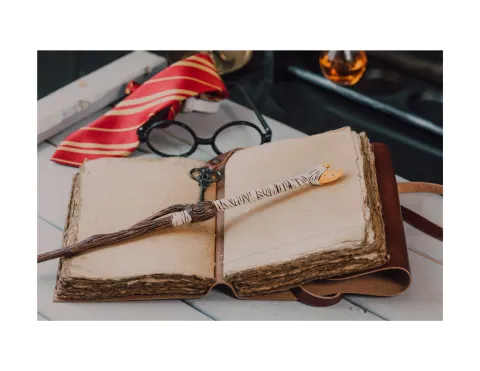 Book, wand, glasses, and tie.
