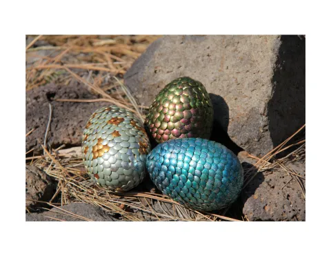 Dragon eggs