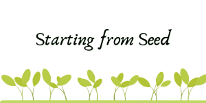 small green plants grow from the bottom of the image with the words Starting from Seed above